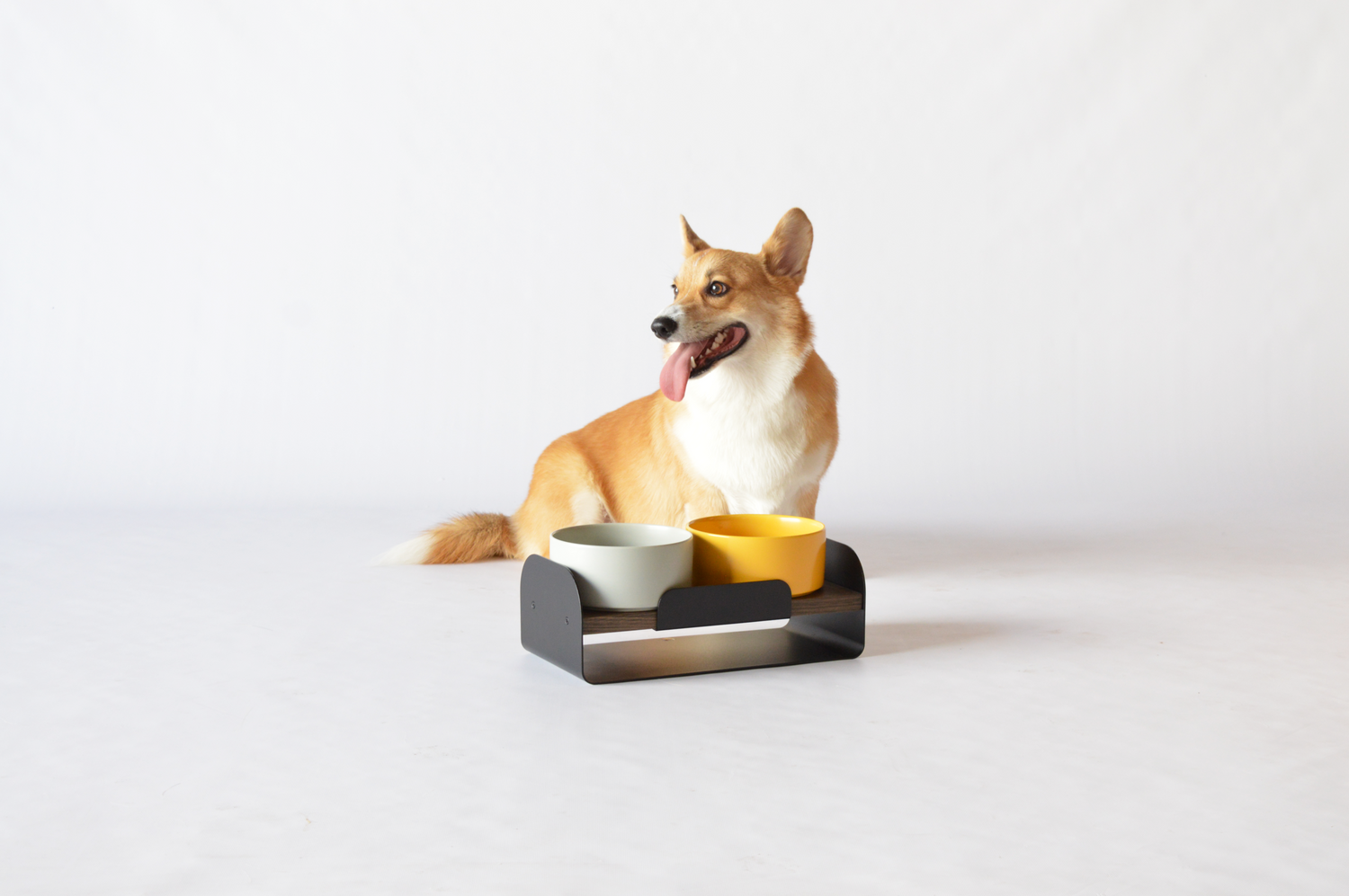 The benefits of using elevated dog bowls: why your dog will love them